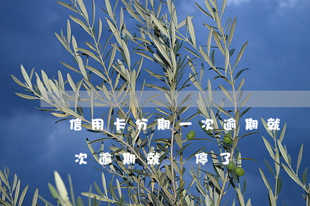 信用卡分期一次逾期就給停了(信用卡分期一次逾期就給停了)