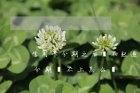 信用卡分期之后還不起逾期怎么辦(欠信用卡分期還不上怎么辦)