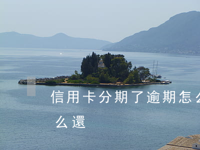 信用卡分期了逾期怎么(信用卡分期了逾期怎么還)