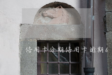 信用卡分期（信用卡逾期60天分期終止了）