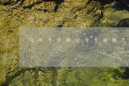 信用卡分期信用卡逾期怎么辦理