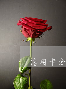 信用卡分期免息付款(免息賬單分期)