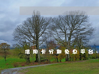 信用卡分期免息平台-信用卡 分期 免息