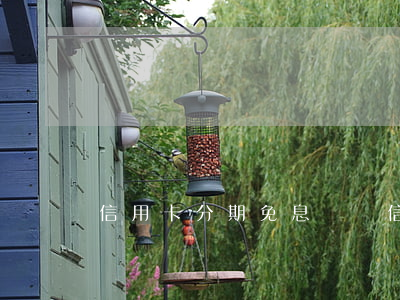 信用卡分期免息賬單(信用卡 分期 免息)
