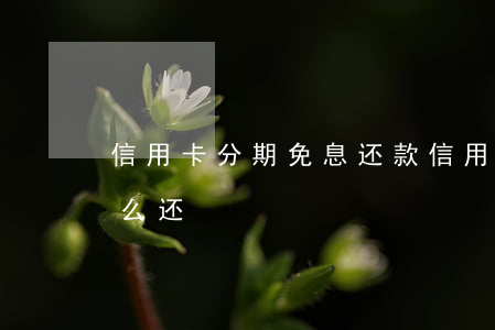 信用卡分期免息还款(信用卡分期免息还款怎么还)