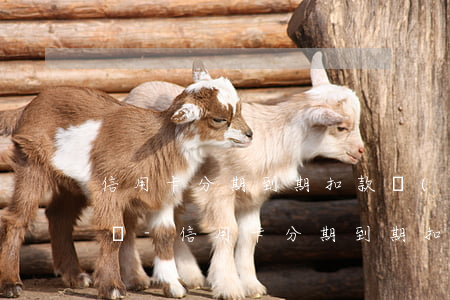 信用卡分期到期扣款沒(méi)還算逾期嗎-信用卡分期到期扣款沒(méi)還算逾期嗎怎么辦