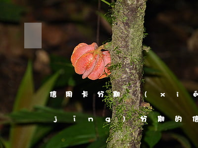 信用卡分期協(xié)商停息掛賬(已經(jīng)分期的信用卡可以辦理停息掛賬嗎?)
