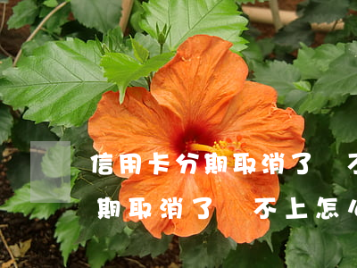 信用卡分期取消了還不上怎么辦-信用卡分期取消了還不上怎么辦呢