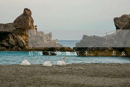 信用卡分期后不還錢怎么辦