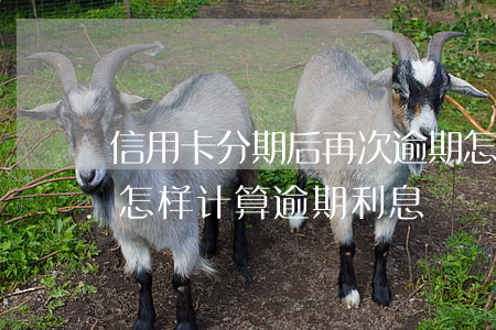 信用卡分期后再次逾期怎样计息-分期还款怎样计算逾期利息