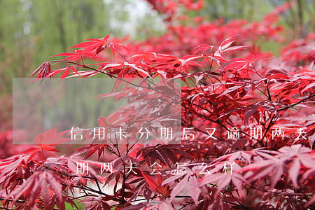 信用卡分期后又逾期两天 信用卡分期后又逾期两天会怎么样