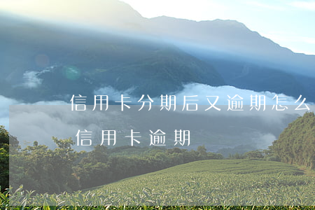 信用卡分期后又逾期怎么辦(分期卡逾期屬于信用卡逾期嗎)