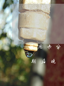 信用卡分期后晚還兩天算逾期嗎-信用卡分期后晚還兩天算逾期嗎怎么辦