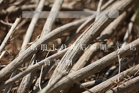 信用卡分期后逾期一天(信用卡分期后逾期一天算逾期嗎)