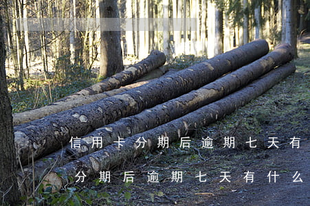 信用卡分期后逾期七天有什么影響-信用卡分期后逾期七天有什么影響嗎