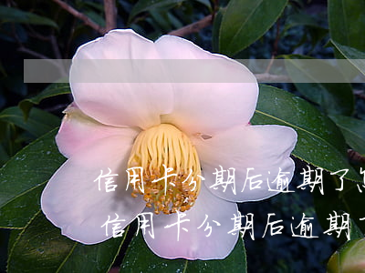 信用卡分期后逾期了怎么協(xié)商-信用卡分期后逾期了怎么協(xié)商