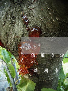 信用卡分期后逾期了怎么算(分期卡逾期屬于信用卡逾期嗎)