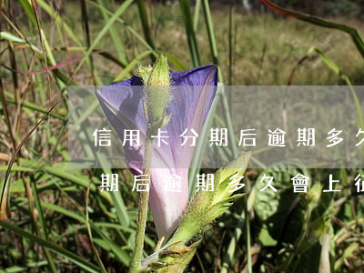信用卡分期后逾期多久會上征信-信用卡分期后逾期多久會上征信報告