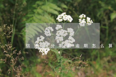 信用卡分期后逾期怎么算