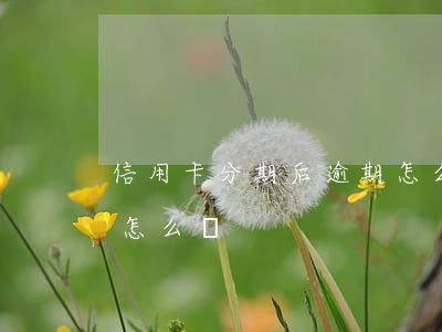 信用卡分期后逾期怎么處理(分期貸款逾期了怎么辦)