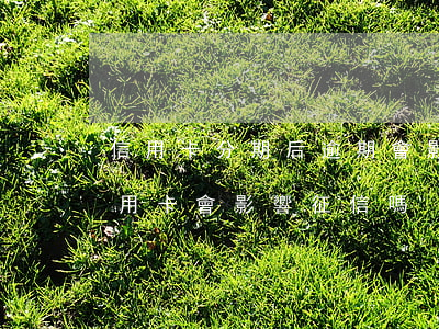 信用卡分期后逾期會影響征信嗎-分期還信用卡會影響征信嗎