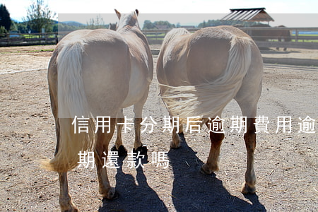 信用卡分期后逾期費用 逾期的信用卡可以分期還款嗎
