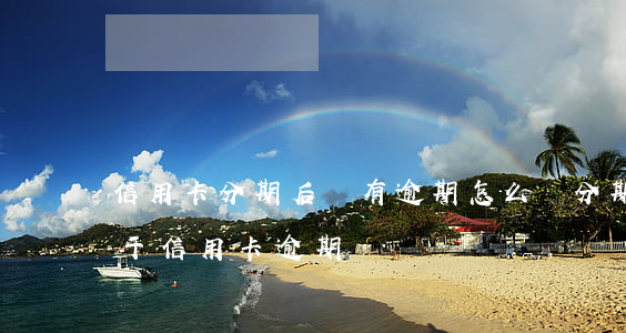 信用卡分期后還有逾期怎么辦(分期卡逾期屬于信用卡逾期嗎)