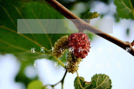 信用卡分期和逾期利息那個高(貸款利息高還是信用卡分期利息高)