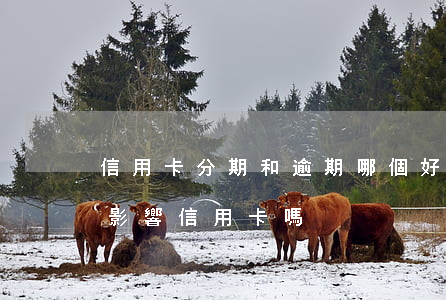 信用卡分期和逾期哪個好干(分期樂逾期了會影響信用卡嗎)