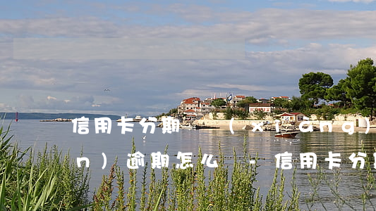 信用卡分期專項(xiàng)8萬(wàn)逾期怎么辦-信用卡分期專項(xiàng)8萬(wàn)逾期怎么辦理