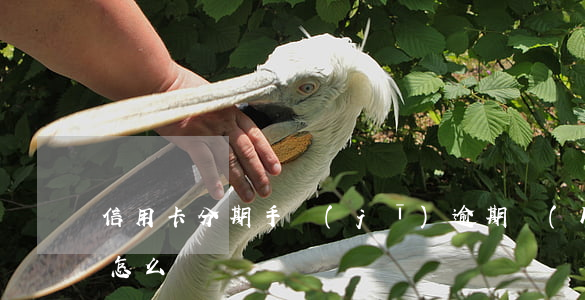 信用卡分期手機(jī)逾期會(huì)怎么樣