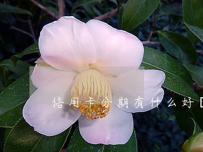 信用卡分期有什么好處(信用卡大額分期)