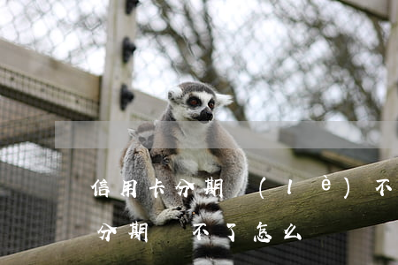 信用卡分期樂(lè)不還行不(信用卡不能分期還不了怎么辦)