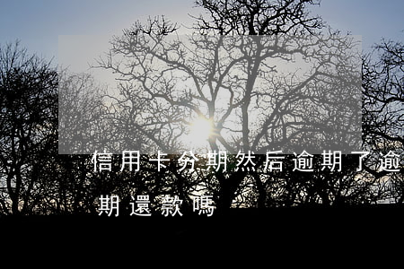 信用卡分期然后逾期了(逾期的信用卡可以分期還款嗎)