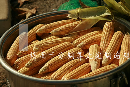 信用卡分期算是逾期(逾期是分期的意思嗎)