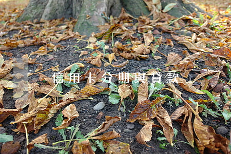信用卡分期與貸款