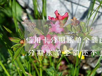 信用卡分期账单全额还不上怎么办-信用卡分期账单全额还不上怎么办呢