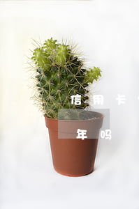 信用卡分期贷款10年(信用卡可以分期10年吗)