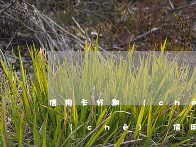 信用卡分期車(chē)貸逾期怎么辦理(有車(chē)貸信用卡逾期怎么辦)