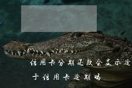 信用卡分期还款会显示逾期吗 分期卡逾期属于信用卡逾期吗