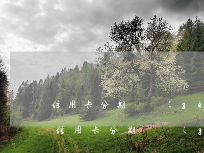信用卡分期這個(gè)月還不上怎么辦-信用卡分期這個(gè)月還不上怎么辦呢