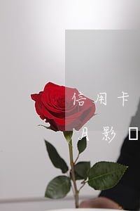 信用卡分期逾期一個月(信用卡分期逾期一個月影響大嗎)