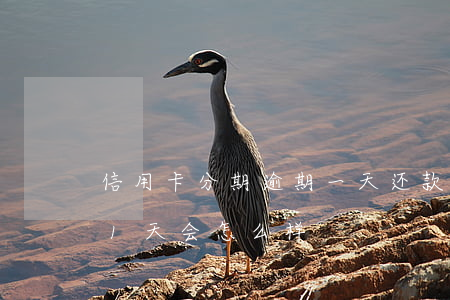 信用卡分期逾期一天还款会怎么样(分期逾期1天会怎么样)