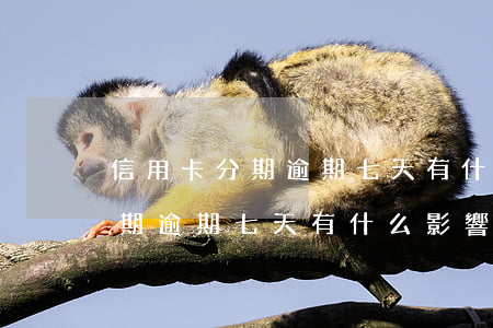 信用卡分期逾期七天有什么影響-信用卡分期逾期七天有什么影響嗎