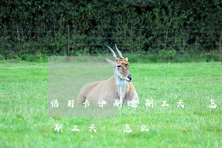 信用卡分期逾期三天會怎么樣 信用卡分期逾期三天會怎么樣