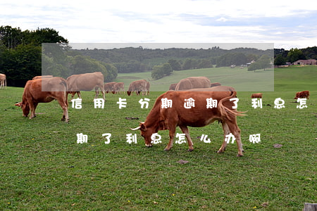 信用卡分期逾期了利息怎么办(信用卡分期逾期了利息怎么办啊)