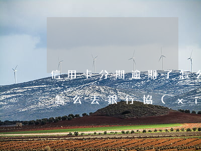 信用卡分期逾期了怎么協(xié)商還款(怎么去銀行協(xié)商信用卡逾期分期)