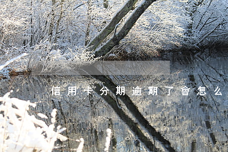 信用卡分期逾期了會怎么樣呢(欠信用卡分期)