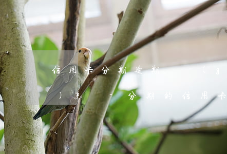 信用卡分期逾期兩個(gè)月會(huì)怎樣-分期的信用卡逾期了怎么辦