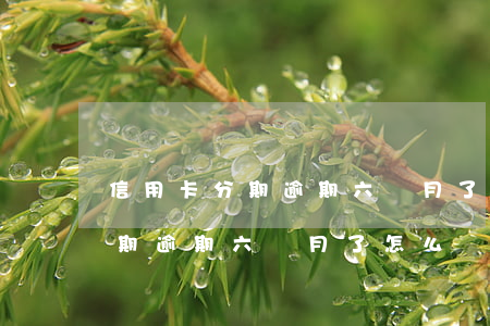 信用卡分期逾期六個月了怎么辦-信用卡分期逾期六個月了怎么辦理